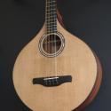 Sitka spruce top and Sipomahogany sides and back
